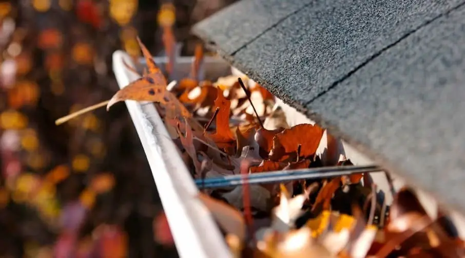 Осінні роботи на даху: очистка водостічних та дренажних систем